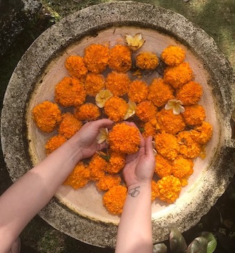 Bali flowers and local colour